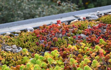 the cost of Capel Gwynfe green roof installation