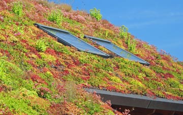Capel Gwynfe living roof systems